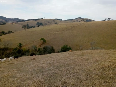 Fazenda, 53 hectares - Foto 2