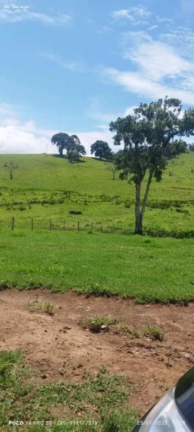 Sítio, 2 quartos, 73 hectares - Foto 3