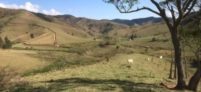 Fazenda, 298 hectares - Foto 3