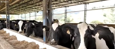 Fazenda, 250 hectares - Foto 1