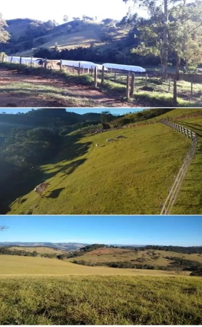 Fazenda, 250 hectares - Foto 3