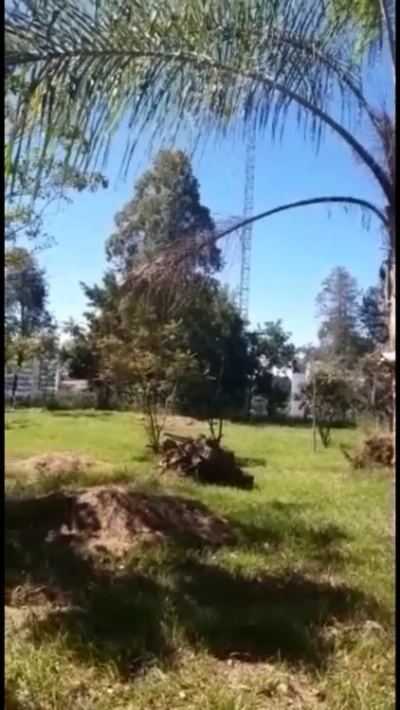 Terreno, 4 hectares - Foto 5