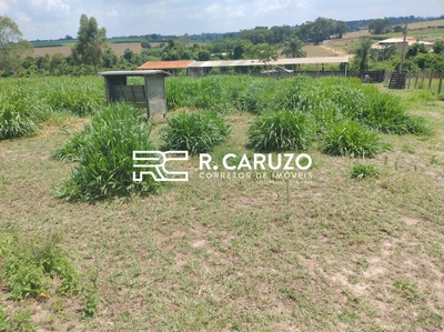 Terreno, 5 hectares - Foto 3