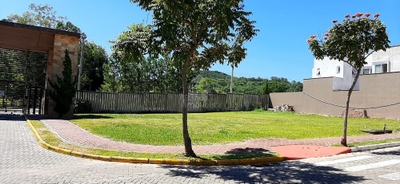 Terreno, 353 m² - Foto 2