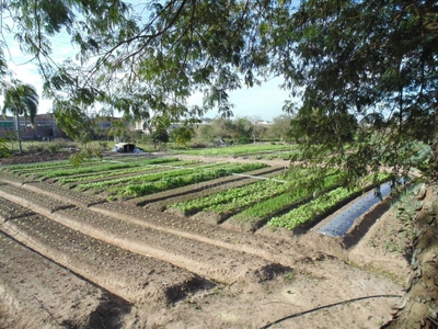 Terreno, 1 hectares - Foto 2
