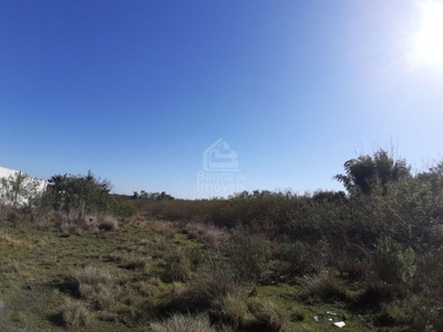 Terreno, 3 hectares - Foto 1