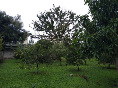 Terreno, 2880 m² - Foto 3