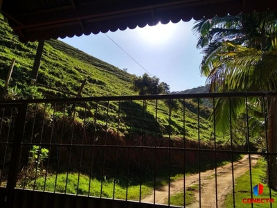 Sítio, 4 quartos, 7 hectares - Foto 4