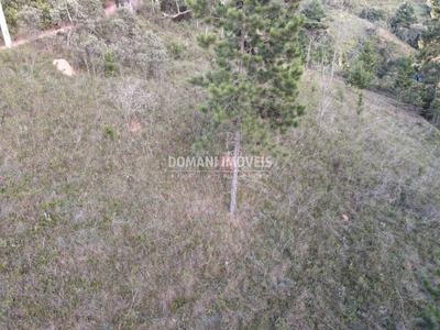 Terreno, 3590 m² - Foto 3