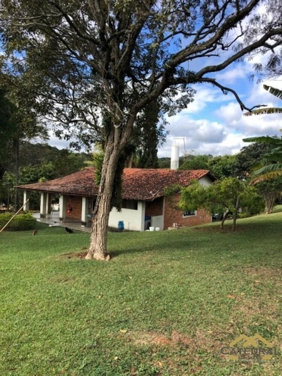 Chácara, 3 quartos, 2 hectares - Foto 4
