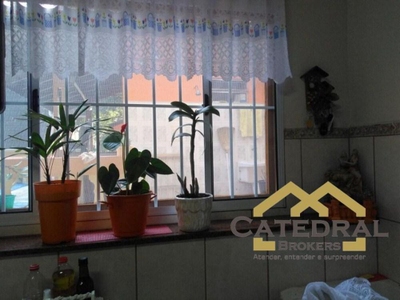 Chácara, 2 quartos, 3526 m² - Foto 2