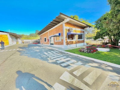 Depósito-Galpão, 3500 m² - Foto 2