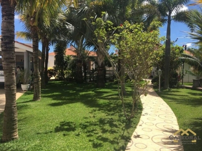 Casa, 4 quartos - Foto 4