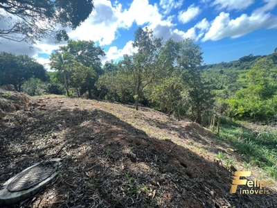 Terreno, 5000 m² - Foto 4