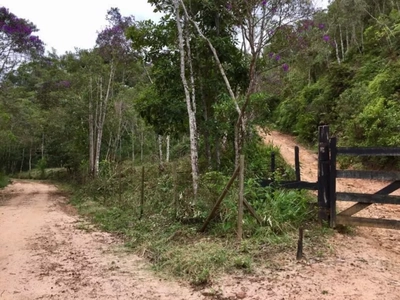 Sítio, 4 quartos, 180 m² - Foto 2