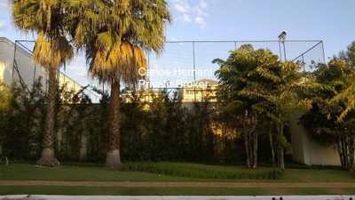 Terreno, 1200 m² - Foto 4