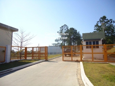 Depósito-Galpão - Foto 1