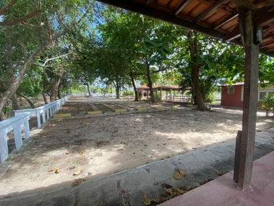 Terreno, 2 hectares - Foto 5