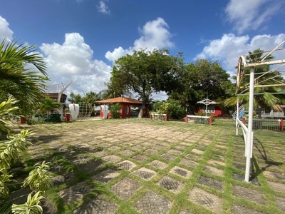 Terreno, 2 hectares - Foto 3