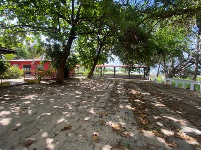 Terreno, 2 hectares - Foto 2