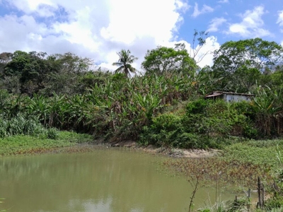 Terreno, 15 hectares - Foto 2