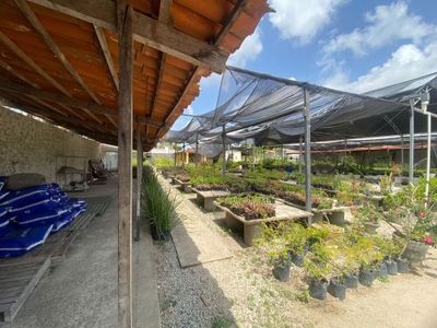 Terreno, 2547 m² - Foto 3