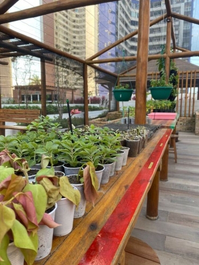 Apartamento, 3 quartos, 78 m² - Foto 3