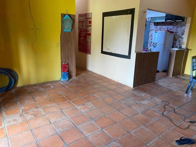 Sítio, 3 quartos, 4365 m² - Foto 3