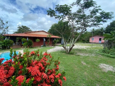 Sítio, 3 quartos, 4365 m² - Foto 1