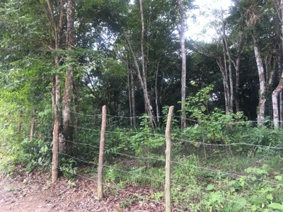 Terreno, 2000 m² - Foto 4