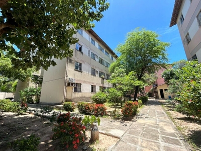 Apartamento, 3 quartos, 63 m² - Foto 1