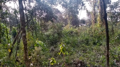 Loteamento e Condomínio, 500 m² - Foto 4