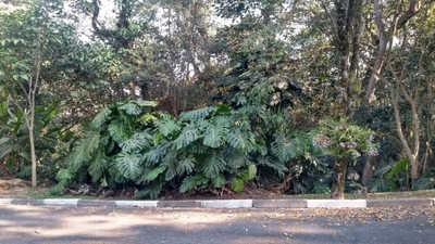 Loteamento e Condomínio, 1104 m² - Foto 2