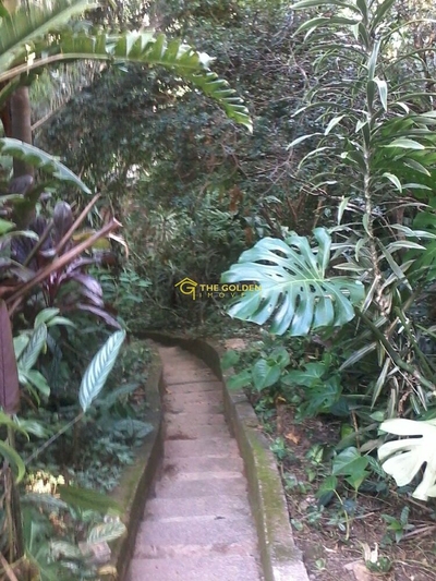 Chácara, 5 quartos, 3500 m² - Foto 4