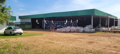 Depósito-Galpão, 1682 m² - Foto 4