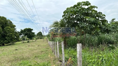 Fazenda, 53 m² - Foto 5