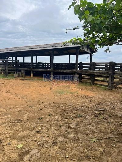 Fazenda-Sítio-Chácara, 17 hectares - Foto 3