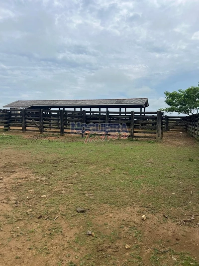 Fazenda-Sítio-Chácara, 17 hectares - Foto 1