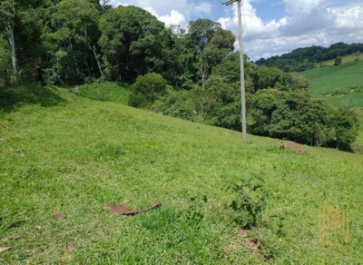 Chácara, 2 quartos, 10 hectares - Foto 2