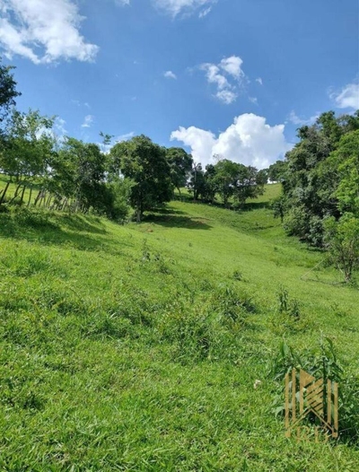 Chácara, 2 quartos, 10 hectares - Foto 5