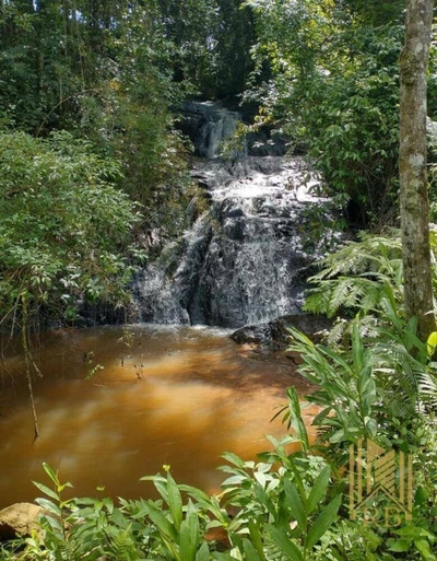 Chácara, 2 quartos, 10 hectares - Foto 1