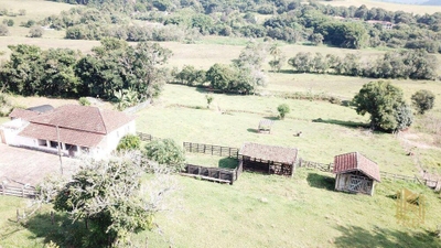 Terreno, 24 hectares - Foto 4