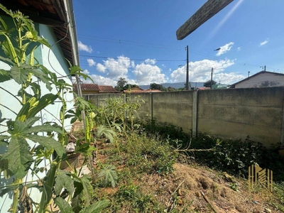 Chácara, 2 quartos, 3000 m² - Foto 4