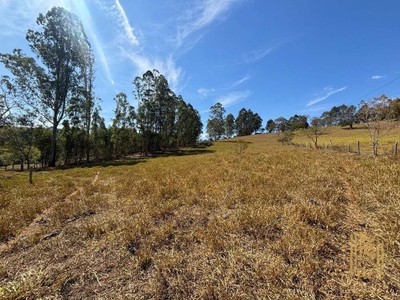 Sítio, 2 quartos, 5 hectares - Foto 5