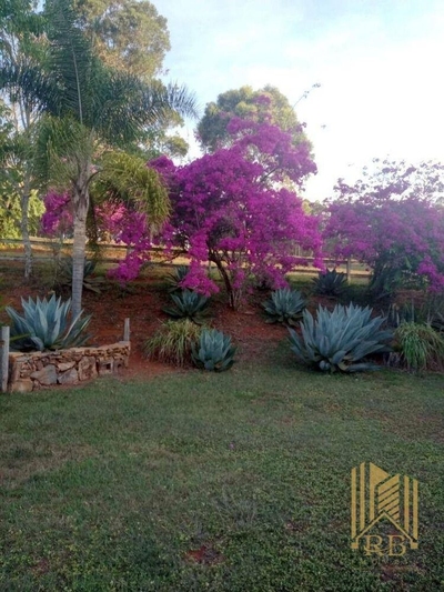 Terreno, 6 hectares - Foto 5