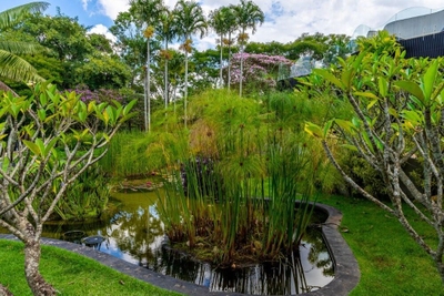 Casa, 5 quartos - Foto 4