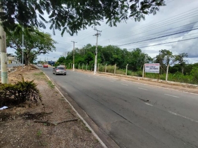 Terreno, 8000 m² - Foto 4