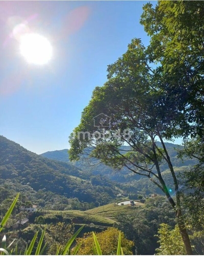 Sítio, 2 quartos, 702 m² - Foto 1