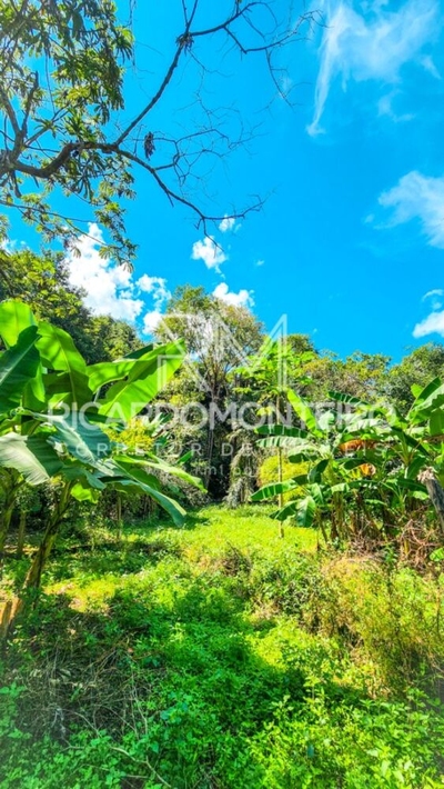 Chácara, 3 quartos, 2 hectares - Foto 2