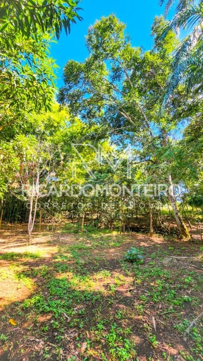 Chácara, 3 quartos, 2 hectares - Foto 5